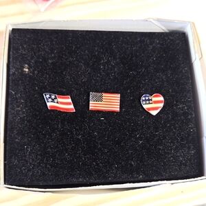 Patriotic Flag Pins 5 Total